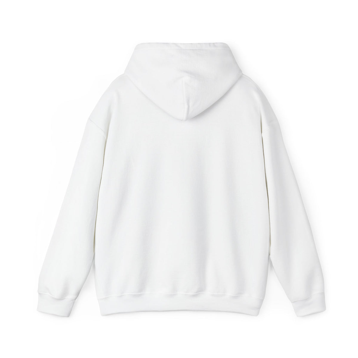 I still believe in Santa Clause Hooded Sweatshirt
